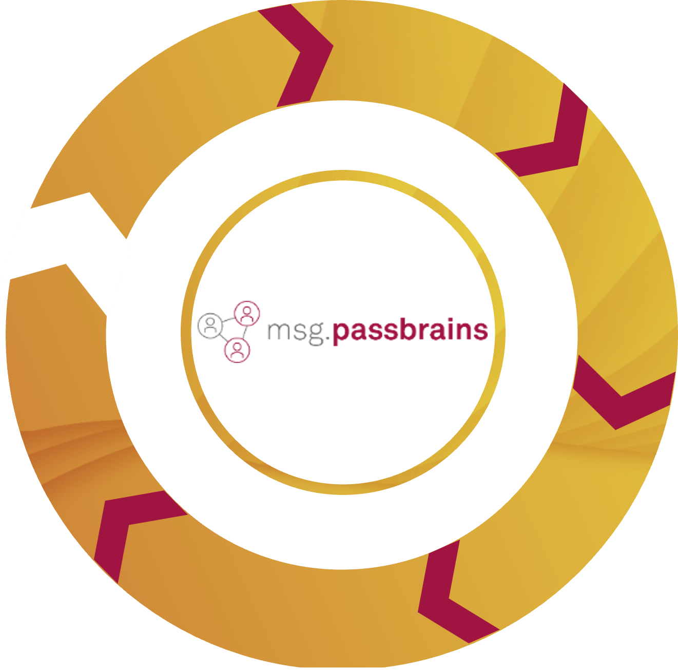 Grafisches 360°-Diagramm mit dem Logo von msg.passbrains in der Mitte, symbolisiert umfassende Analyse und tiefgreifende Einblicke in die Customer Journey durch die Untersuchung mehrerer Touchpoints.